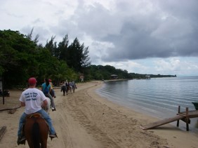 [Beach] Click to enlarge